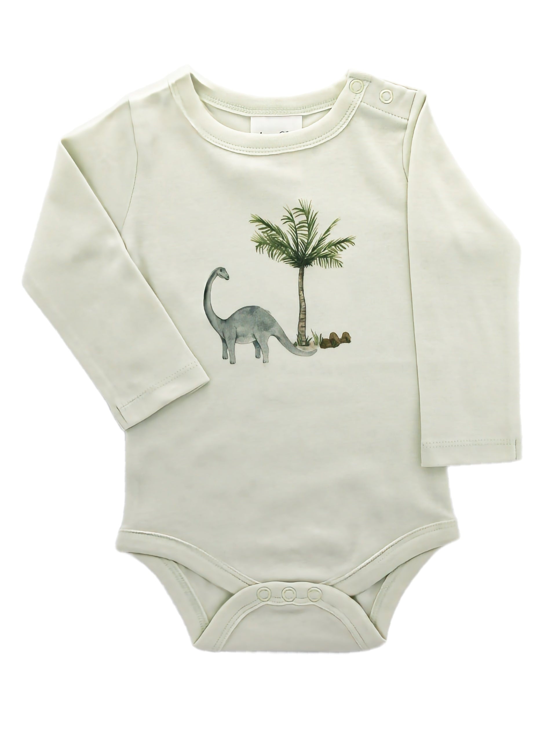 Organic Cotton Bodysuit - Blankee Baby