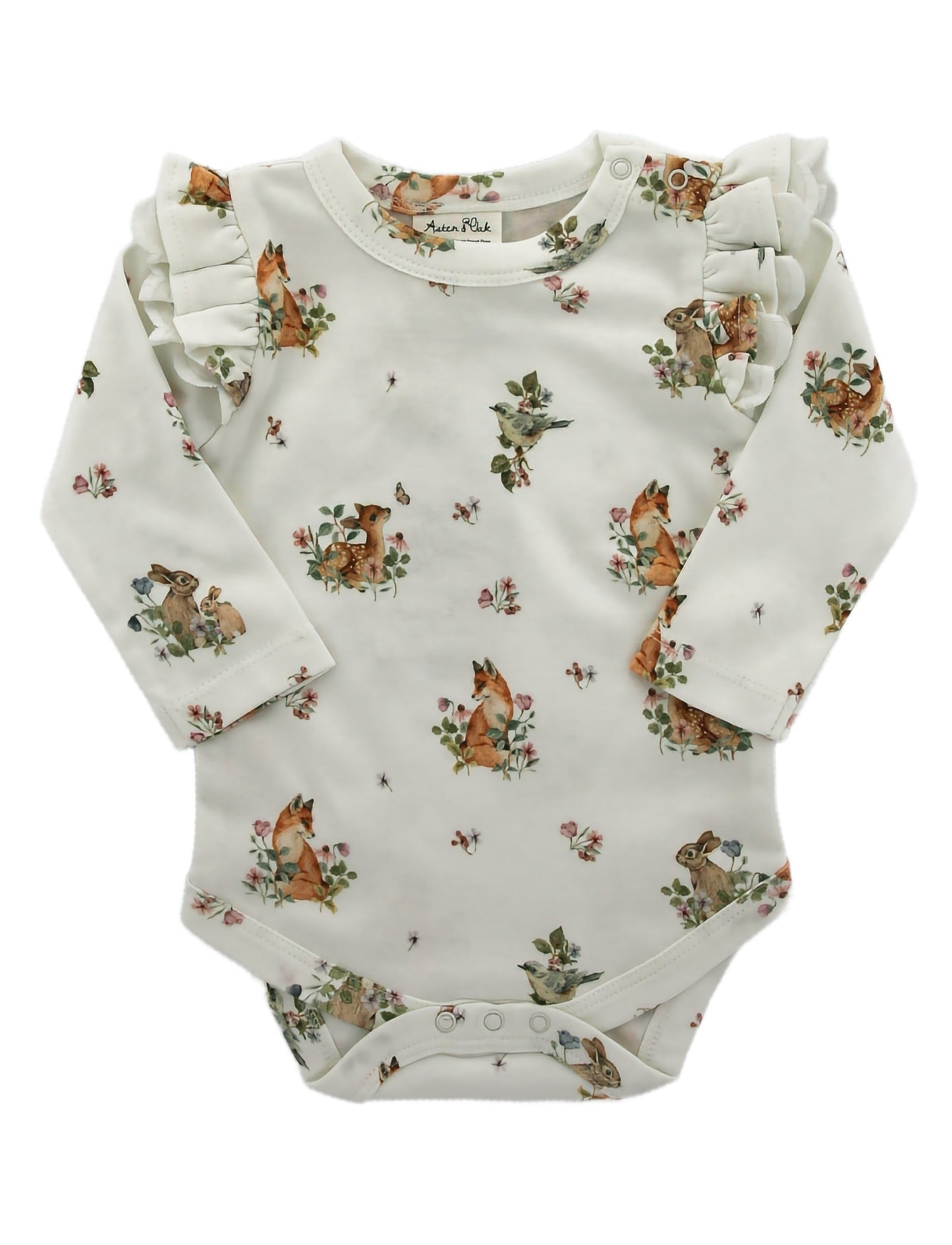 Organic Cotton Bodysuit - Blankee Baby