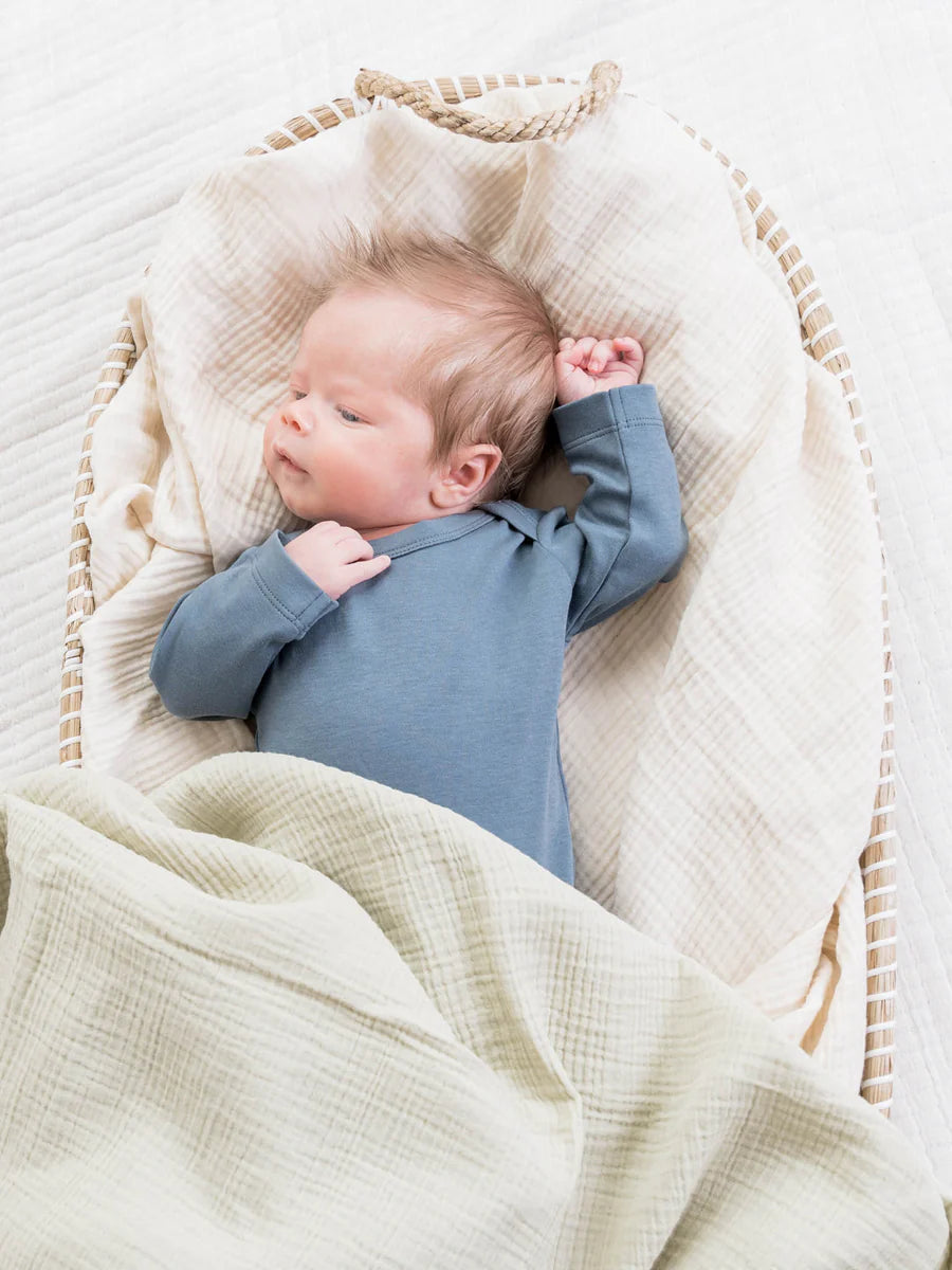 Organic Cotton Baby Bodysuit - Harbor Blue

✦ 100% Organic Cotton ✦ Machine washable ✦ Imported ✦ Fast Shipping & Free Returns

$16.00 USD