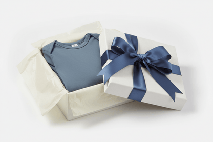 Organic Cotton Classic Long Sleeve Bodysuit - Harbor Blue | Blankee Baby