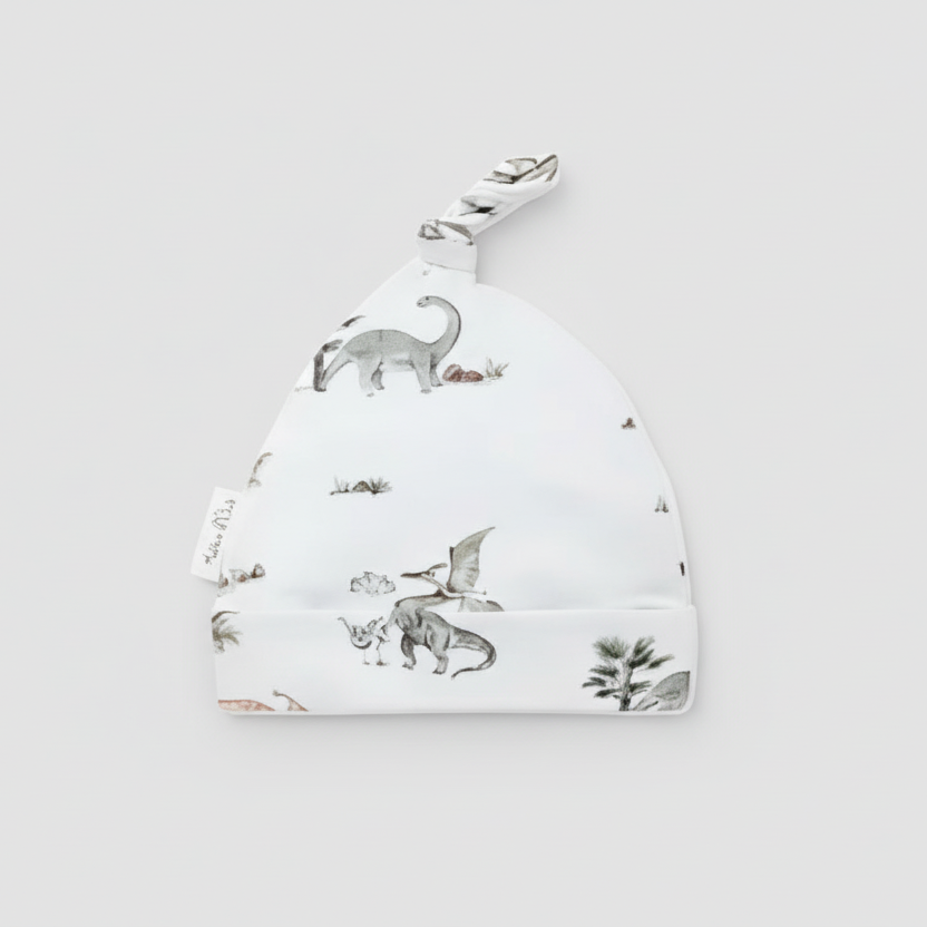 Organic Cotton Dinosaur Hat - Pale Blue | Aster & Oak | Accessories